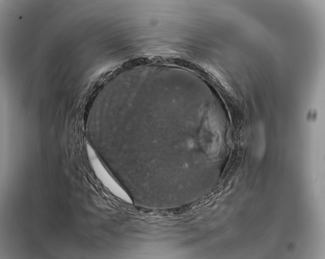 X0000098001063200804071212