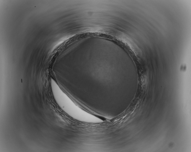 X0000098001064200804071212