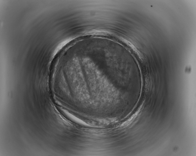 X0000098001066200804071212