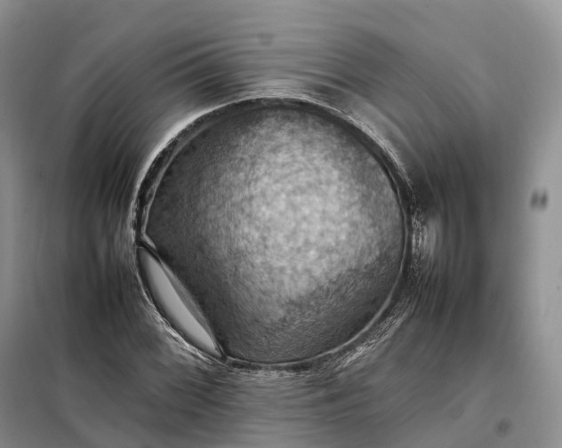 X0000098001068200804071212