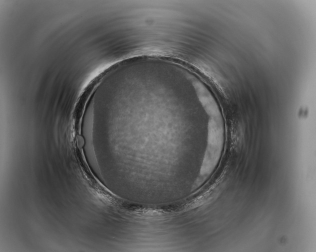 X0000098001070200804071212