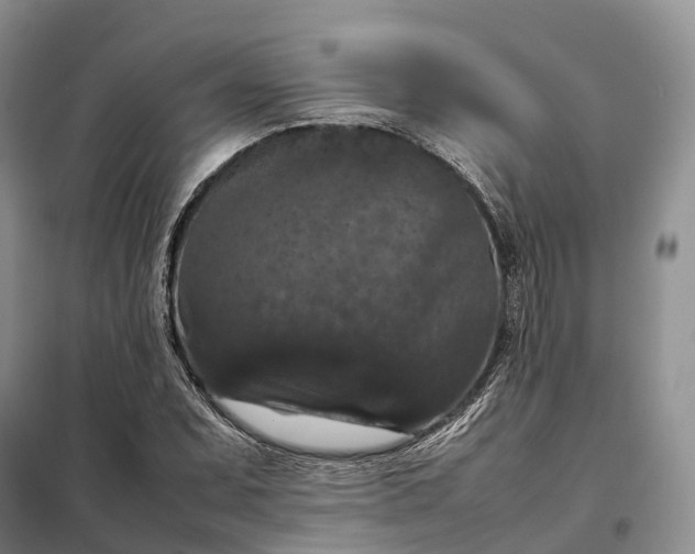 X0000098001071200804071212