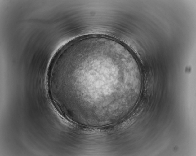 X0000098001072200804071212