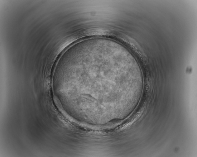 X0000098001073200804071212