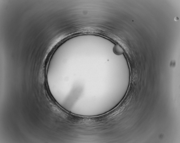 X0000098001075200804071212
