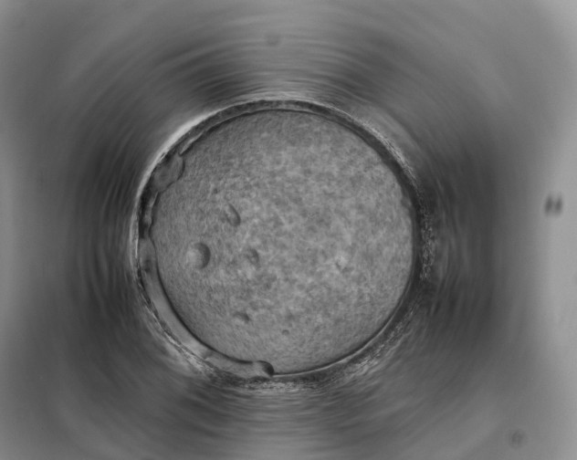 X0000098001076200804071212