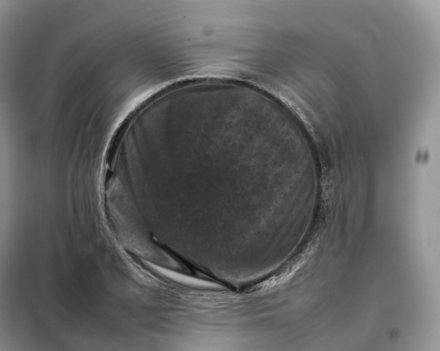 X0000098001077200804071212