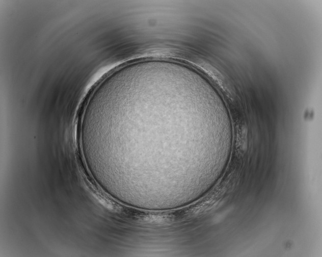 X0000098001078200804071212