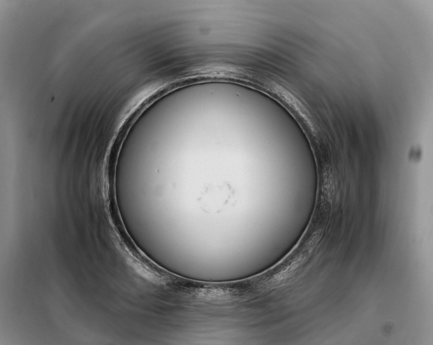 X0000098001082200804071212