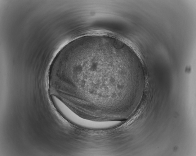 X0000098001083200804071212