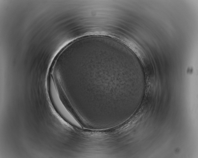 X0000098001084200804071212