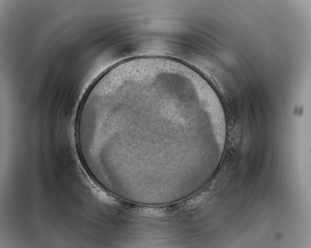 X0000098001086200804071212