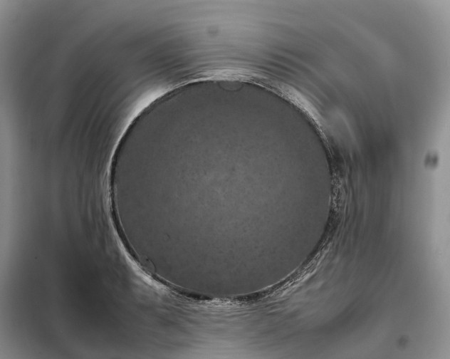 X0000098001087200804071212
