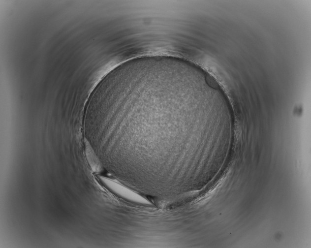 X0000098001089200804071212