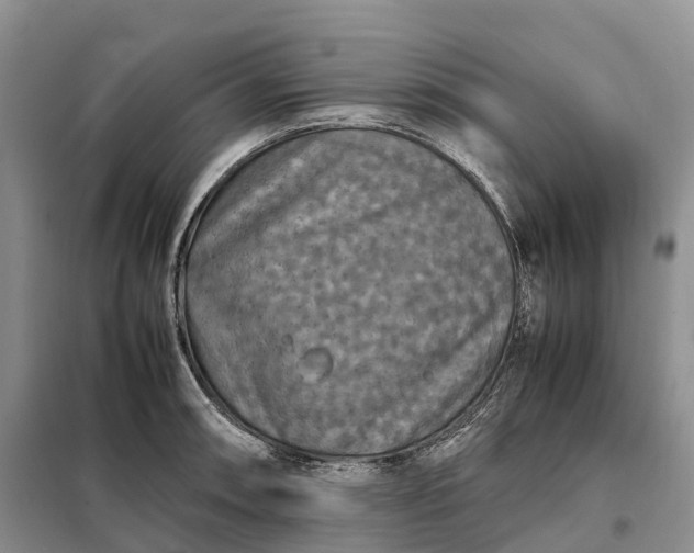X0000098001090200804071212