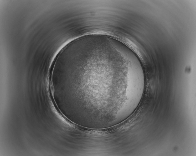 X0000098001092200804071212
