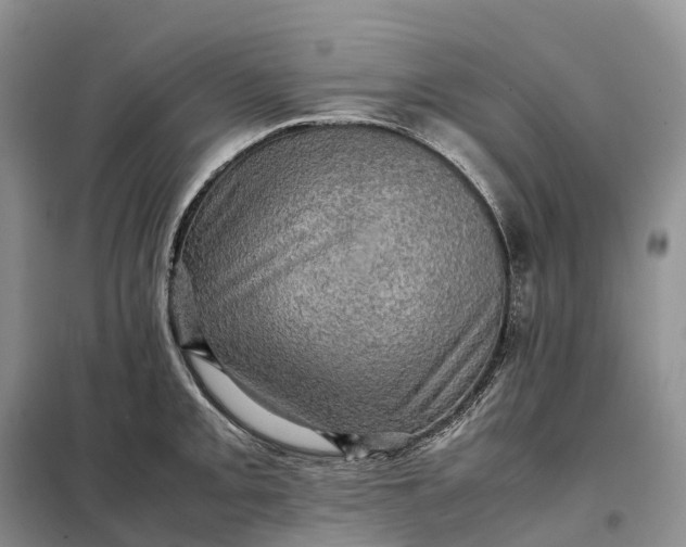 X0000098001093200804071212