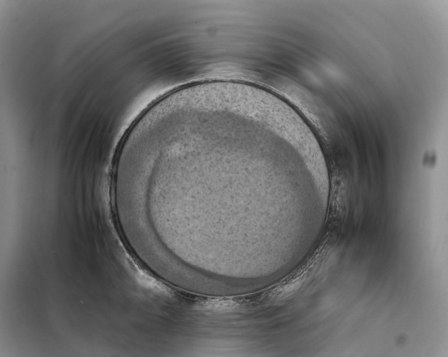 X0000098001094200804071212