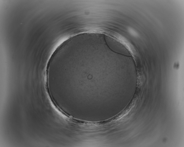 X0000098001095200804071212