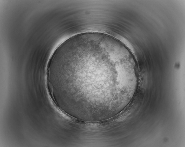 X0000098001096200804071212