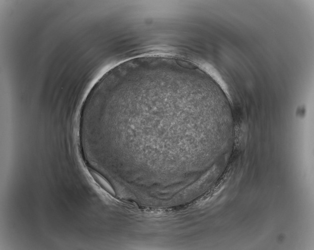X0000098001099200804071212