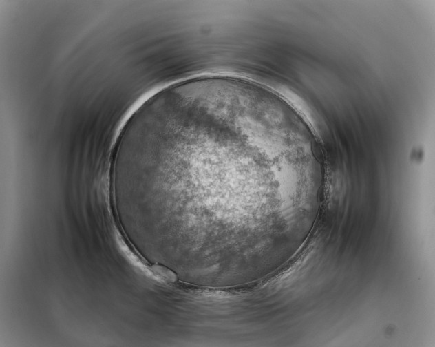 X0000098001100200804071211