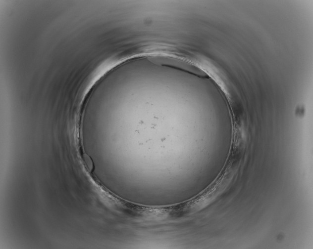 X0000098001101200804071211
