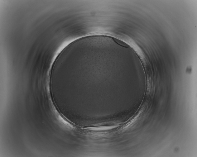 X0000098001102200804071211