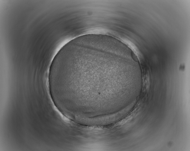X0000098001103200804071211