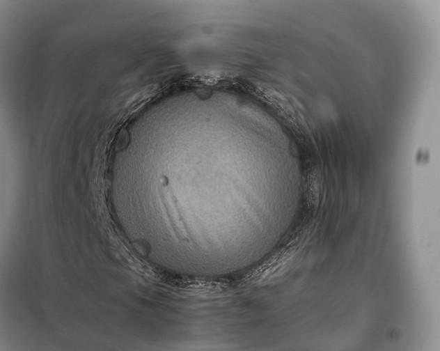 X0000098001105200804071211