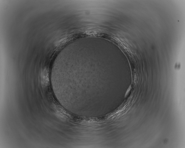 X0000098001106200804071211