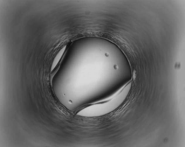 X0000098001107200804071211