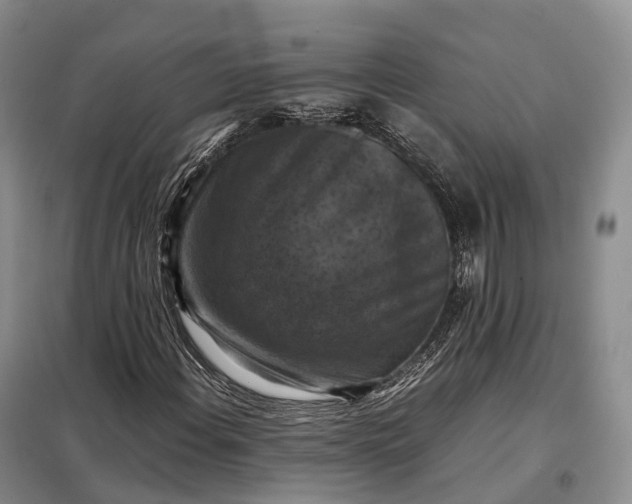 X0000098001108200804071211