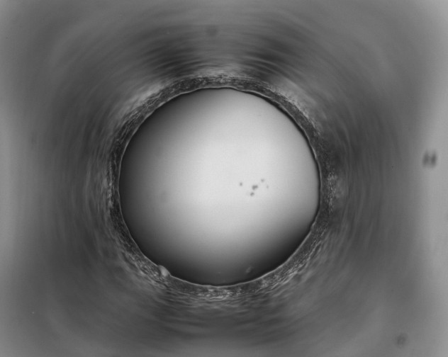 X0000098001111200804071211