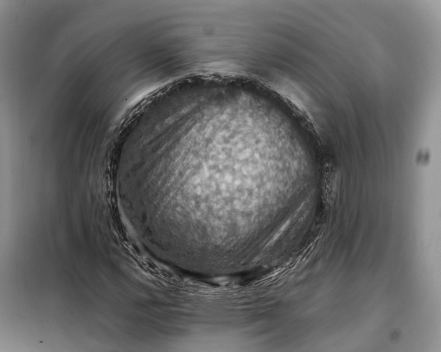 X0000098001112200804071211