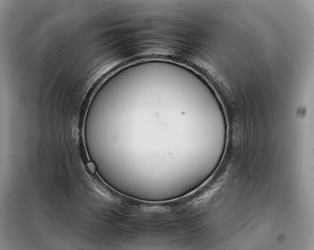 X0000098001113200804071211