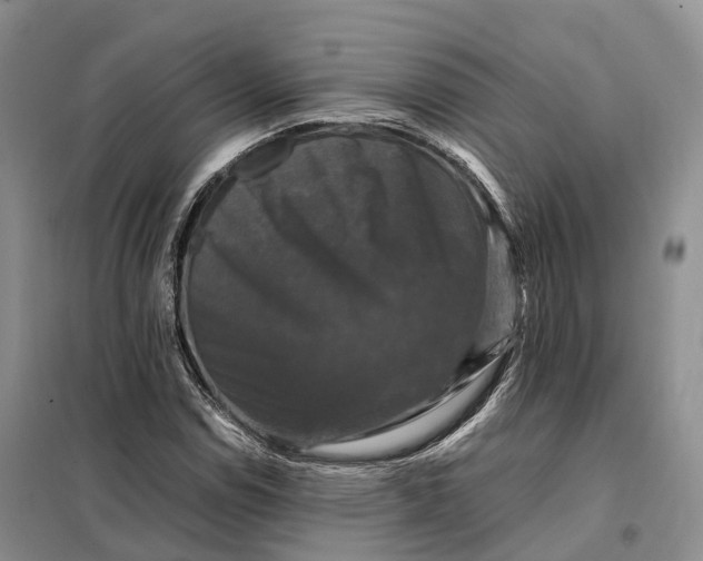 X0000098001114200804071211
