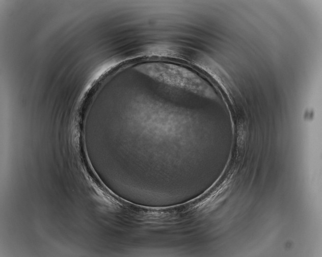 X0000098001115200804071211