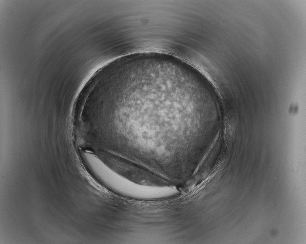 X0000098001116200804071211
