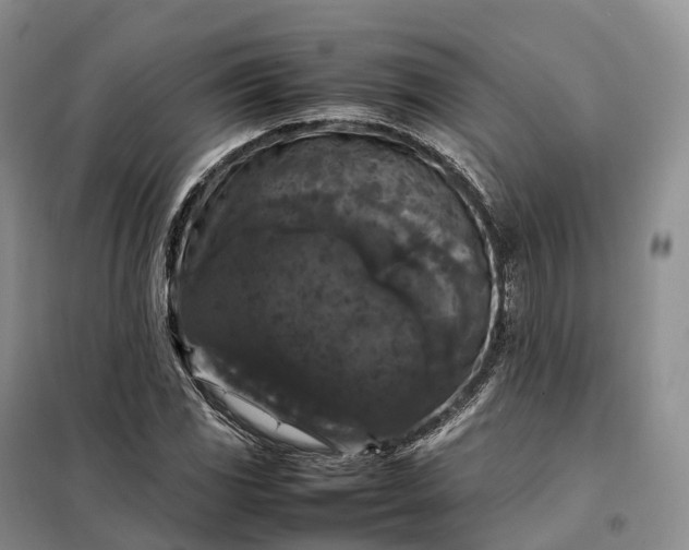 X0000098001117200804071211