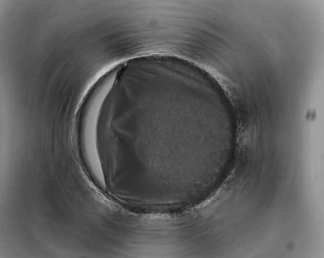 X0000098001118200804071211