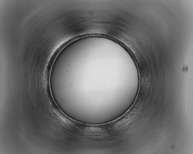 X0000098001119200804071211