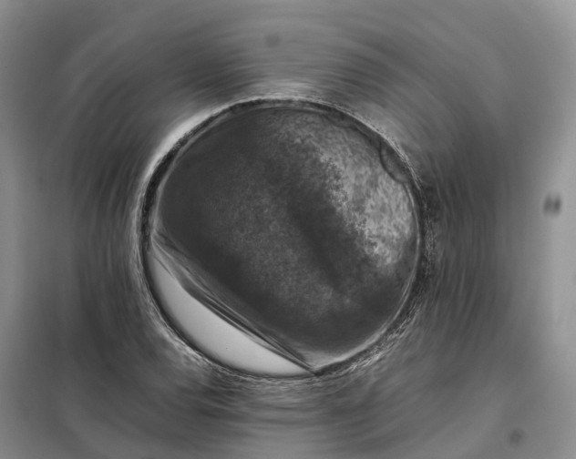 X0000098001120200804071211