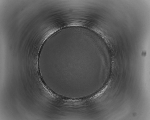 X0000098001121200804071211