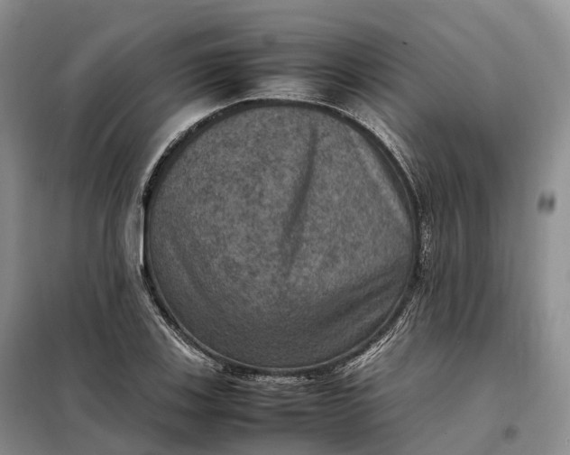 X0000098001123200804071211