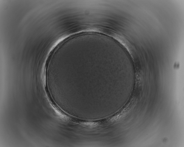 X0000098001127200804071211