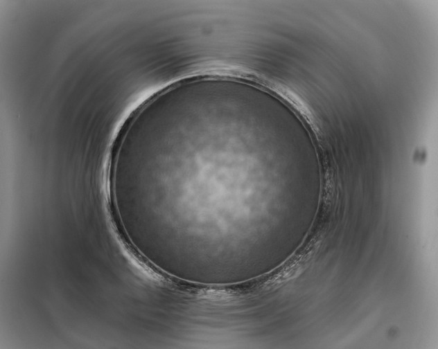 X0000098001128200804071211