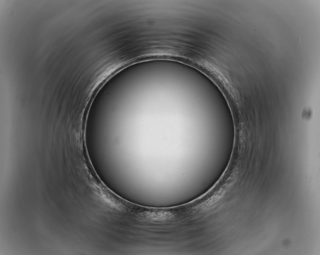 X0000098001129200804071211