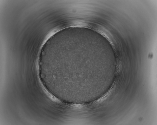 X0000098001130200804071211