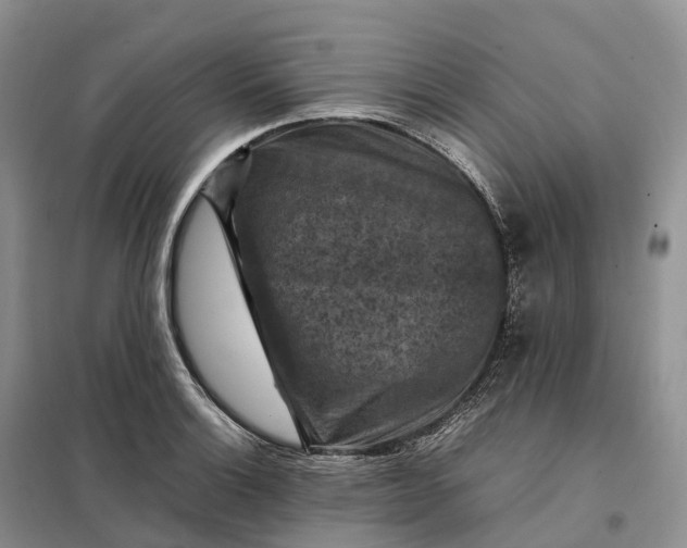 X0000098001132200804071211